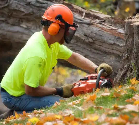 tree services Nashville